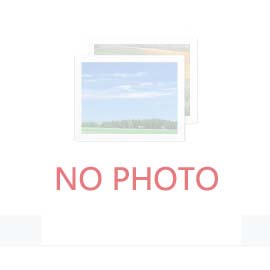 2030年我國工程機械行業(yè)會面臨哪些機遇和挑戰(zhàn)？